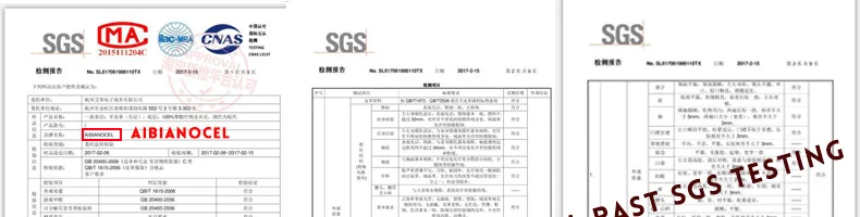 SGS_01