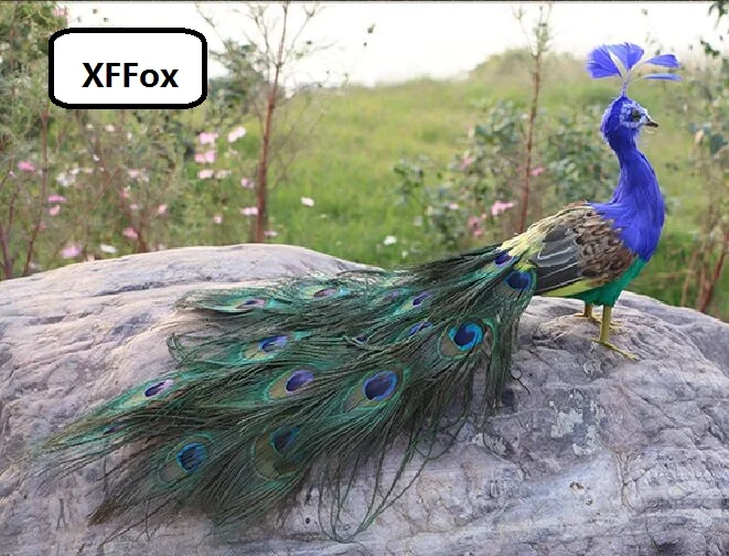 

cute real life peacock model foam&feather simulation colorful peacock bird gift about 50cm xf2131