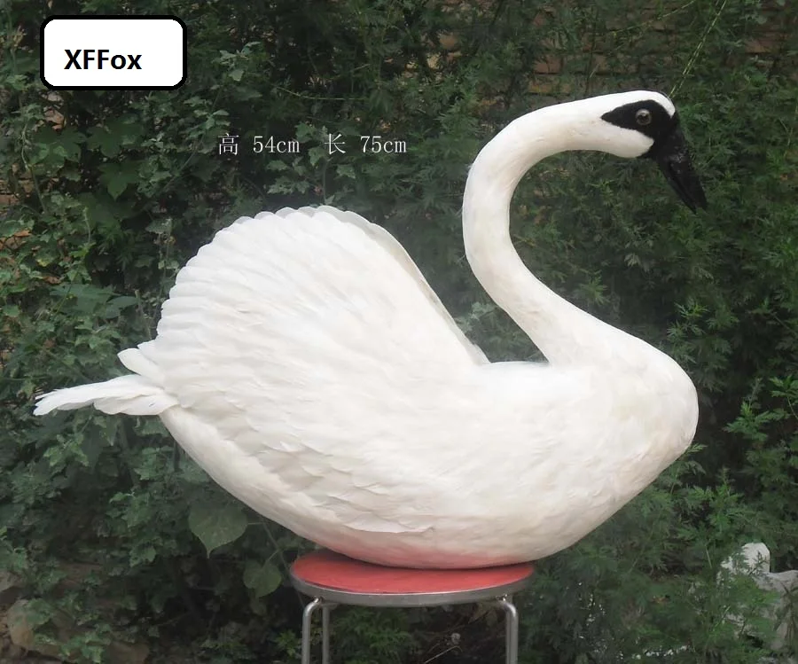 HTB1S0eMMpXXXXbyaXXXq6xXFXXXK