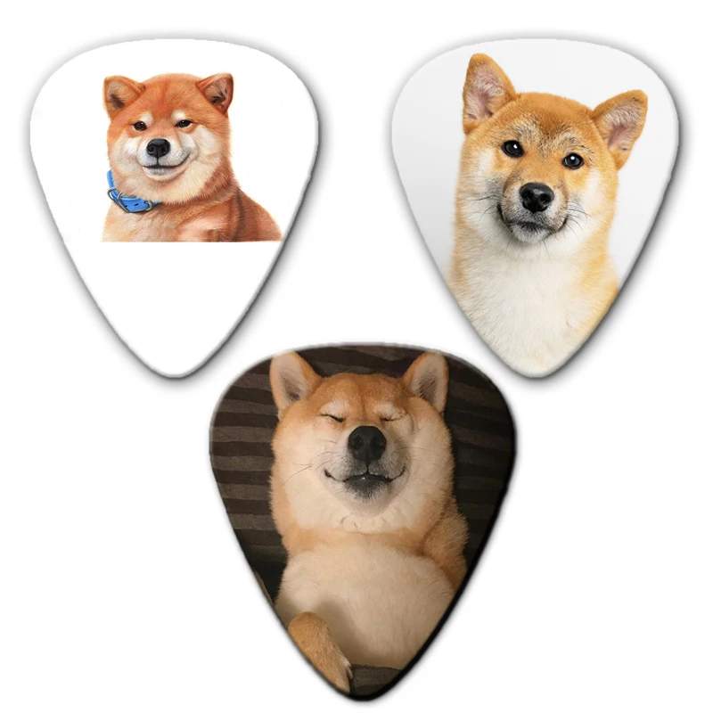 dogs show1