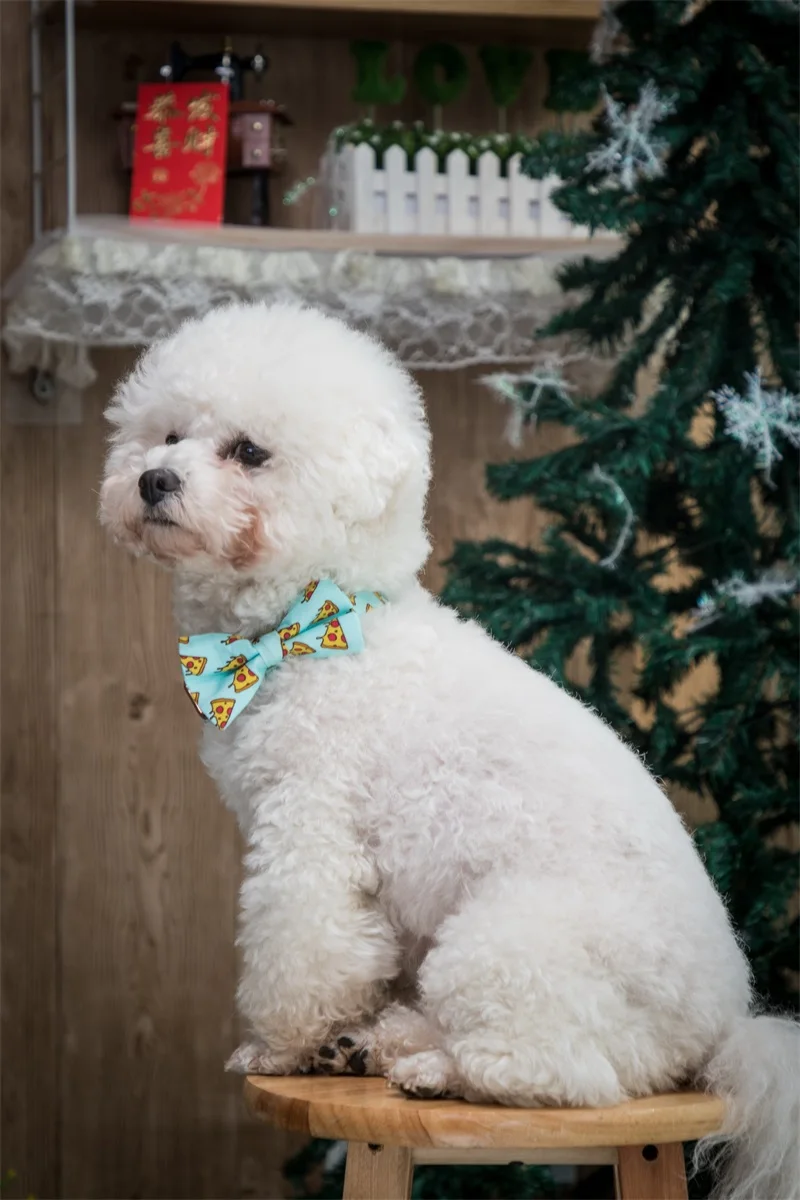 Baratos Popular patrón de Pizza cuello de perro y correa con pajarita para perros grandes y pequeños cuello de tela de algodón hebilla de metal de oro rosa