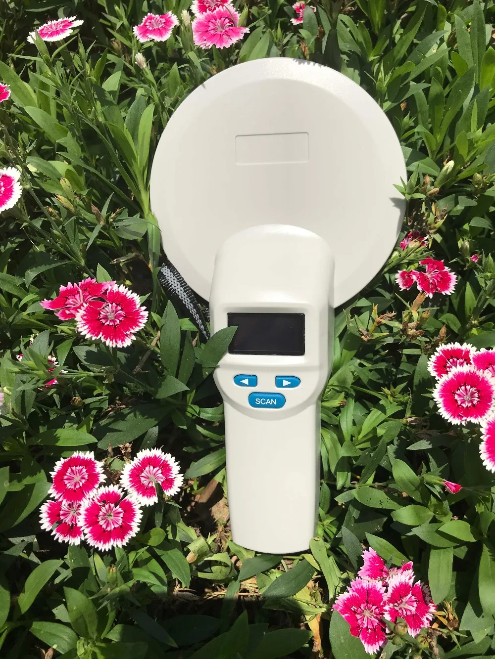 HTB184KhA1uSBuNjy1Xcq6AYjFXaq