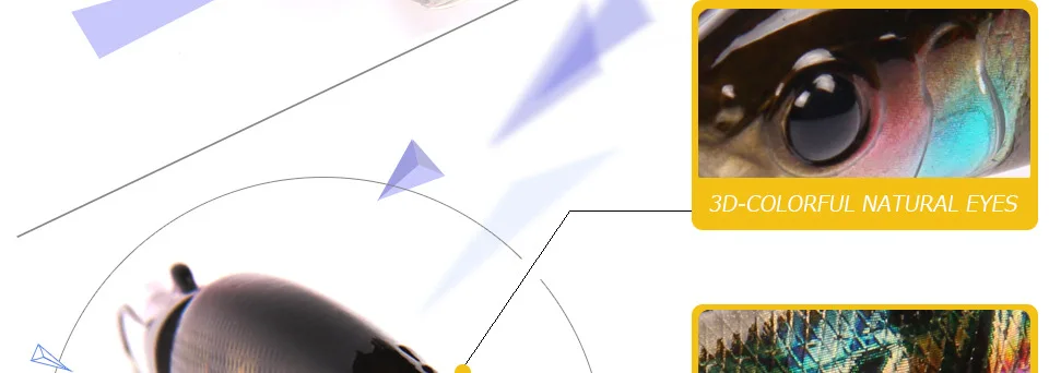 2852628497_1555068555