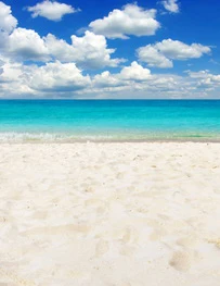 

Art fabric seaside backdrop summer photography background seascape backdrops outdoor photo backdrop D-3623