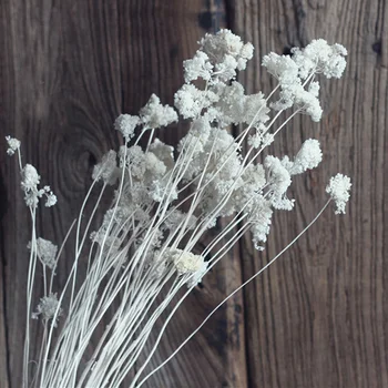 

10 Pieces A Bunch Snow Grass New Natural Dried Flower Weeding Decoration Home Hotel Decor DIY Wedding Flowers Bouquet