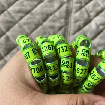 

2019 yellow pigeon ring GB birds rings 8mm 1000pcs/Lot
