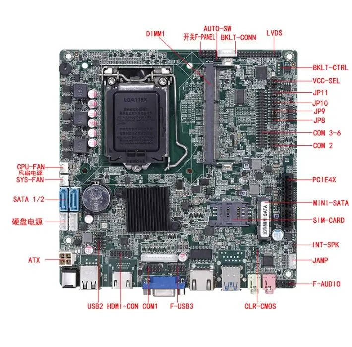 QM8000 H81 1
