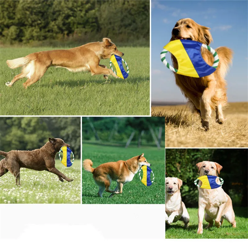 الكلب لعب الحيوانات الأليفة مضغ اللعب يطير أقراص التدريب جرو لعبة إحضار القرص الطائر 18 سنتيمتر الأسنان تنظيف عشوائي اللون