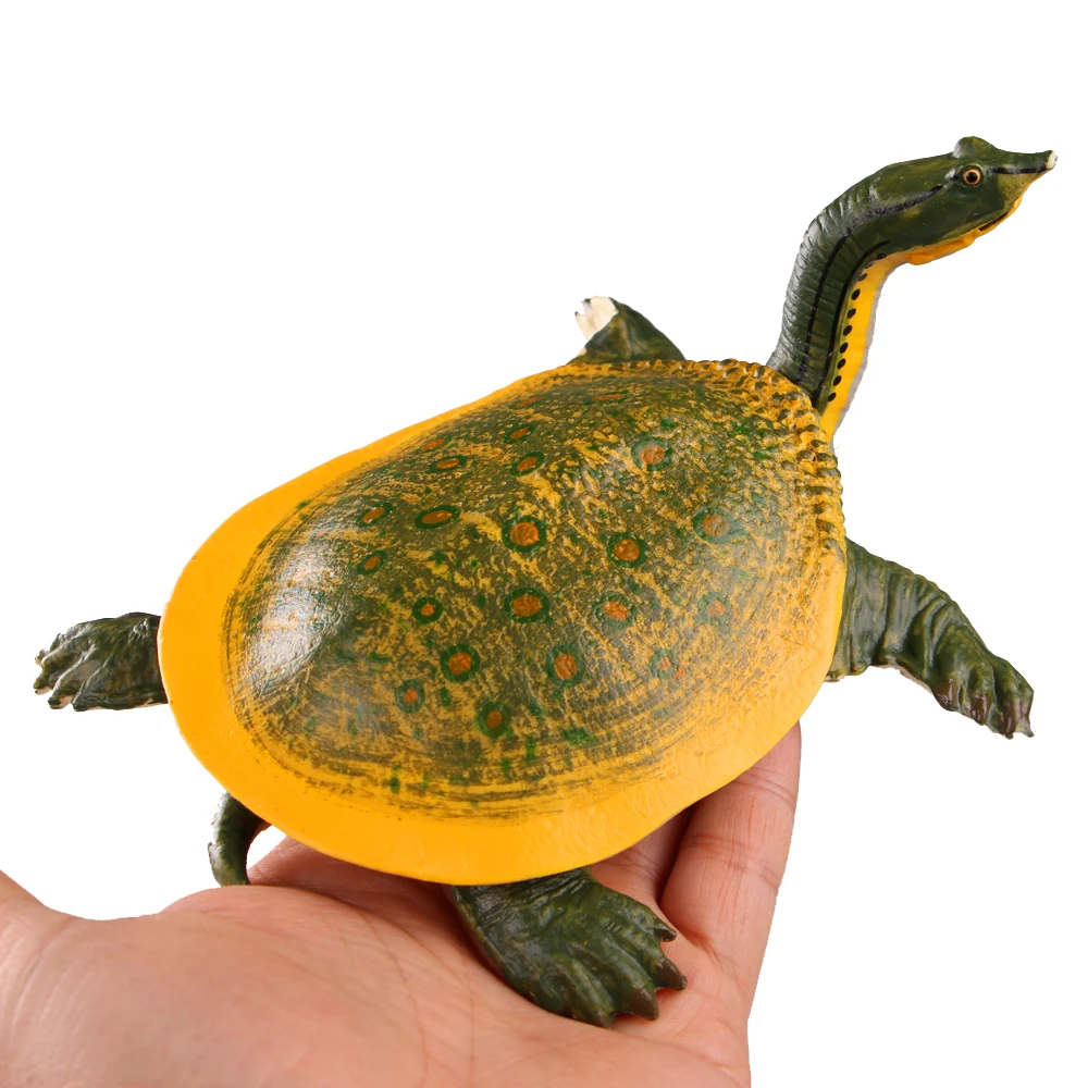 

CE identification Simulation Zoo Toy Reptile Tortoise Turtle Animals Model