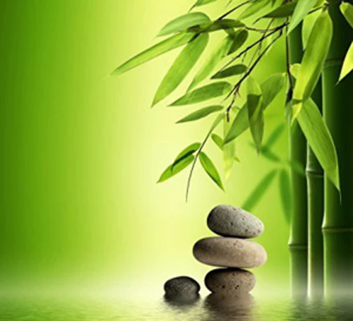 art-factory-feng-shui-canvas-bamboo-art-24-w-x24-h_24353877