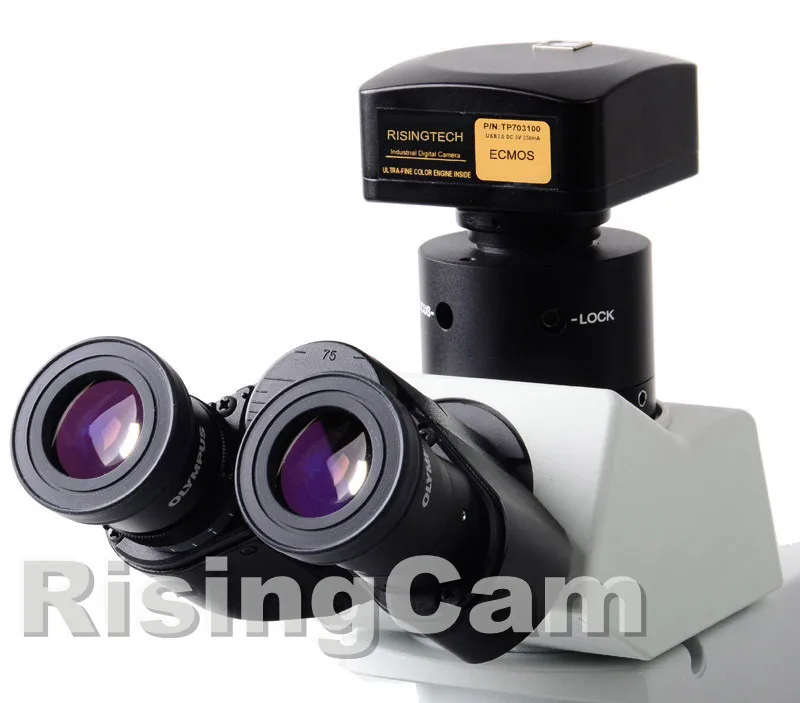 71_20120612000608_enupf