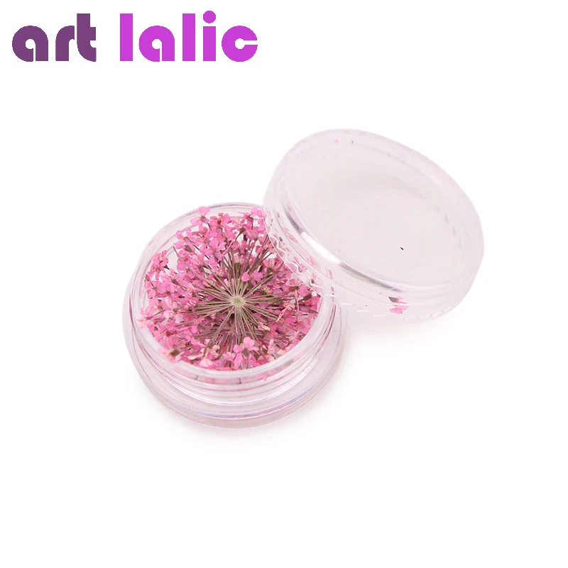 Caja 12 colores uñas arte flores secas reales para acrílico UV Gel 3D uñas Consejos salón efecto decoración Venta caliente
