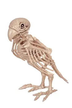 

Fantasy Bone Skeleton Parrot Animal Skeleton Bones for Home Horror Halloween Decoration