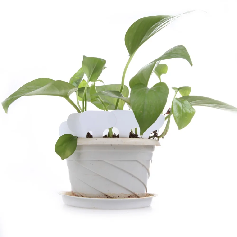 Free Shipping 100Pcs T-type Plastic Nursery Garden Plant Label Flower Thick Tag Mark White Brand New