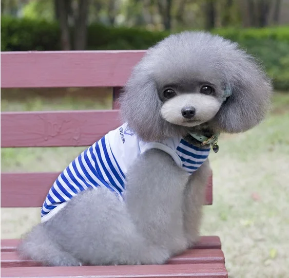 D37_Cute_Pet_Dog_Vest_Great_advanture_Navy_stripe_pattern_small_dog_vest_Puppy_dog_clothes_Sleeveless_T-shirt_costume_Apparel_ (3)