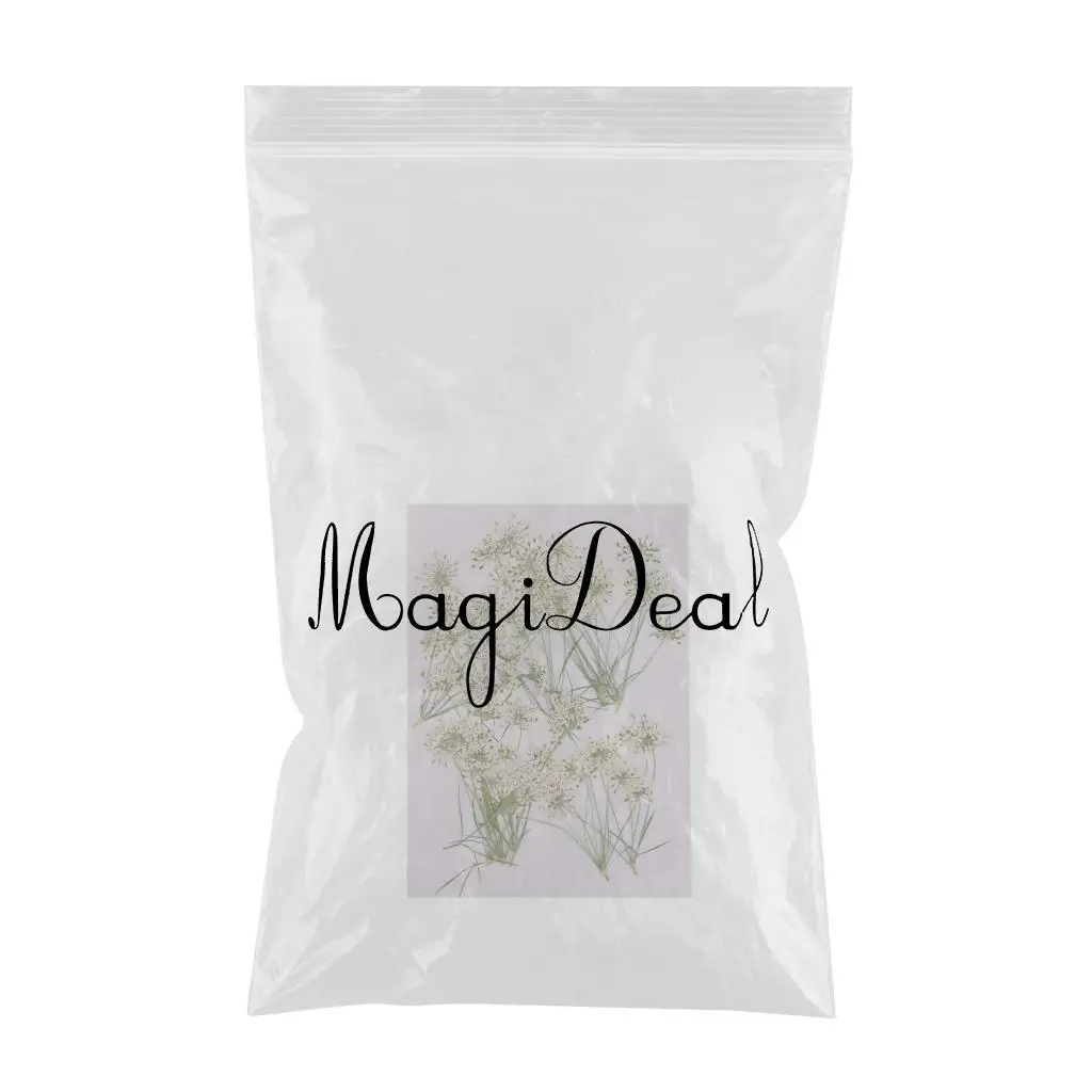 10 Pieces White Lace Flower Natural Real Pressed Dried Flower Poxy Resin Pendant Necklace Jewelry Making Craft DIY Accessories