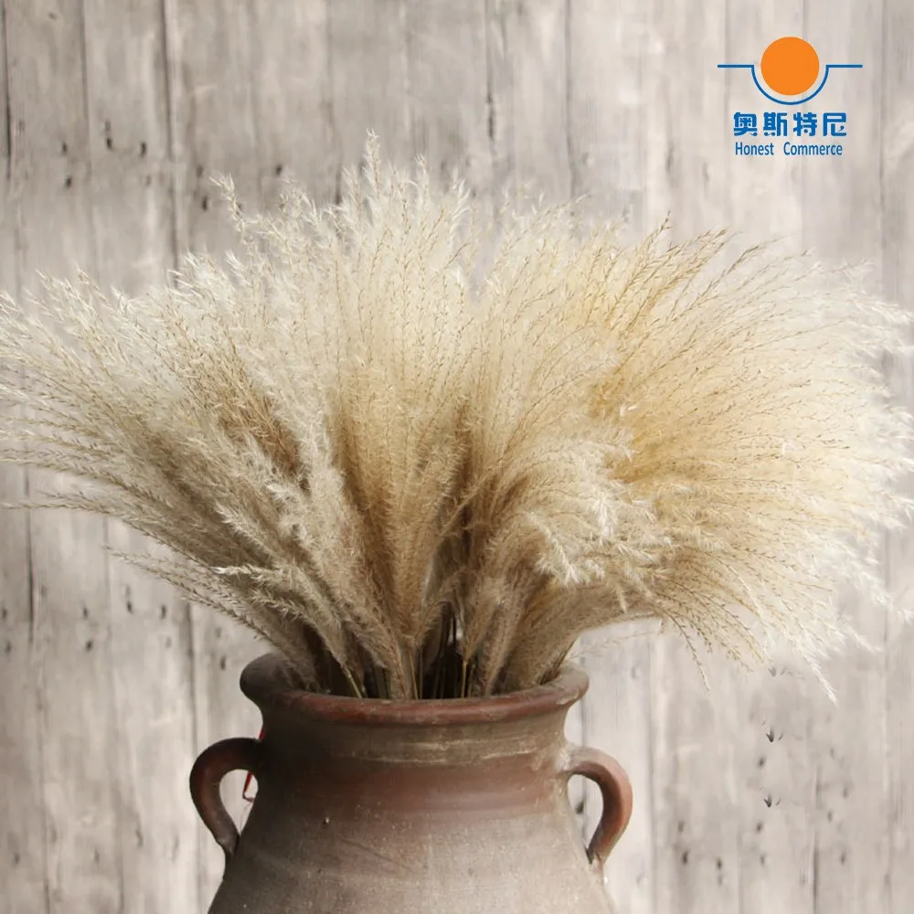 TB2gIyeaI2DjeFjSspnXXb20XXa_!!2871893919