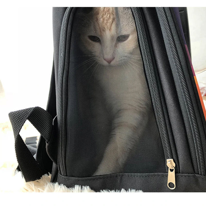 Дышащая космическая капсула для домашних животных сумка переноска кошек собак