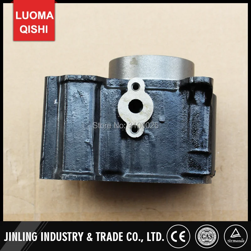 FA-D300-006-5-BUYANG-ATV-PARTS-ENGINE-CYLINDER
