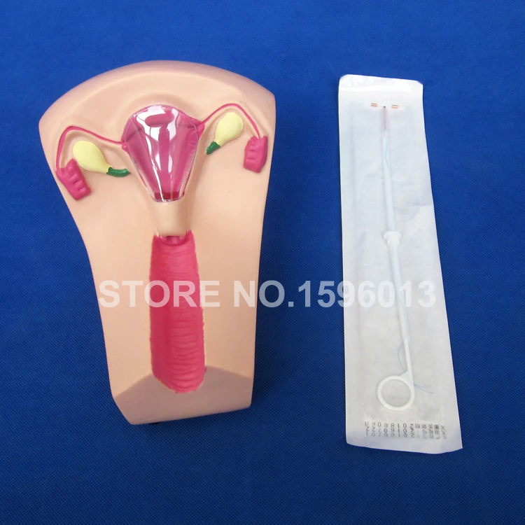 B3 IUD simulator (4)