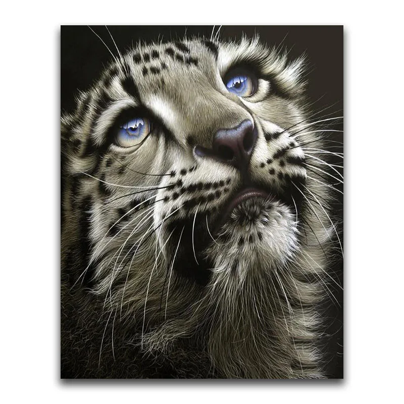 Full Square Diamond embroidery Cross stitch Cartoon colorful DIY 3D Diamond mosaic Animal kitten Full Round Diamond painting cat