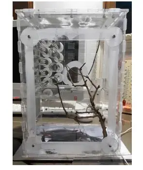 

20x20x30CM Big Ant Tree Nest Transparent Housing With Plant Space Area Ant Villa Acrylic Ant Farm Insect Pet Home For Home Decor