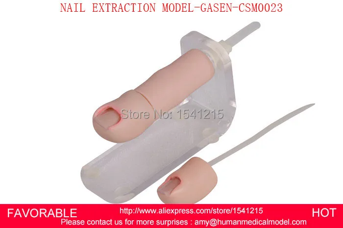

MEDICAL TRAINING MODEL NURSING MODEL MEDICAL TRAINING MANIKINS MEDICAL SIMULATION MODELS NAIL EXTRACTION MODEL-GASEN-CSM0023