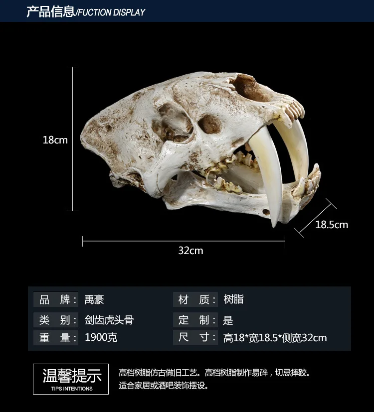 1:1 Размер американские Древние животные саблезуб кошка тигр череп саблезуб смайлидон Fatalis Модель модель скелета животных