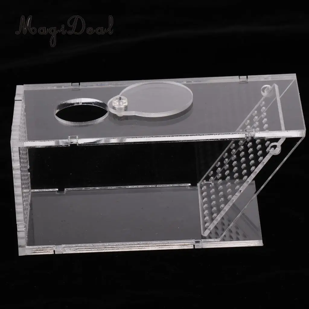 Aquatics Aqua Fish Trap Fish Pest Aquarium Catcher Lure Fish Shrimps Crabs