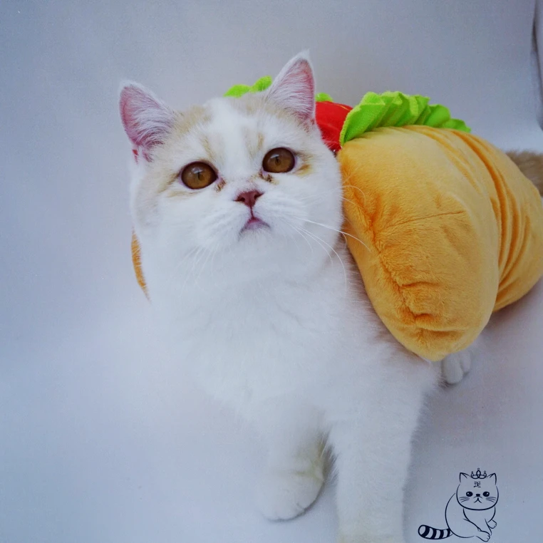 [MPK костюмы для домашних животных] костюм сэндвич-Котов хот-дог, кот бургер, Забавный костюм для котят, кошек и маленьких собак