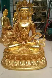 40 "Тибет Бронзовый Длинной Жизни Амитаюс Будда Свинка Статуя Скульптура