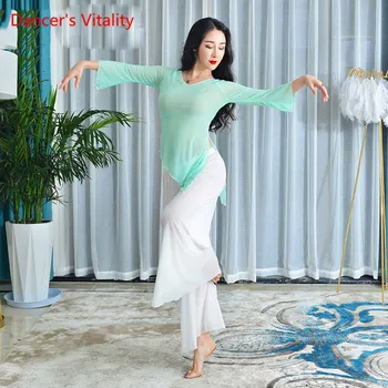 

New Belly Dance Costume Professional Belly Dance Skirt For Women Belly Dance Wear Top+Skirt 2pcs Free Delivery