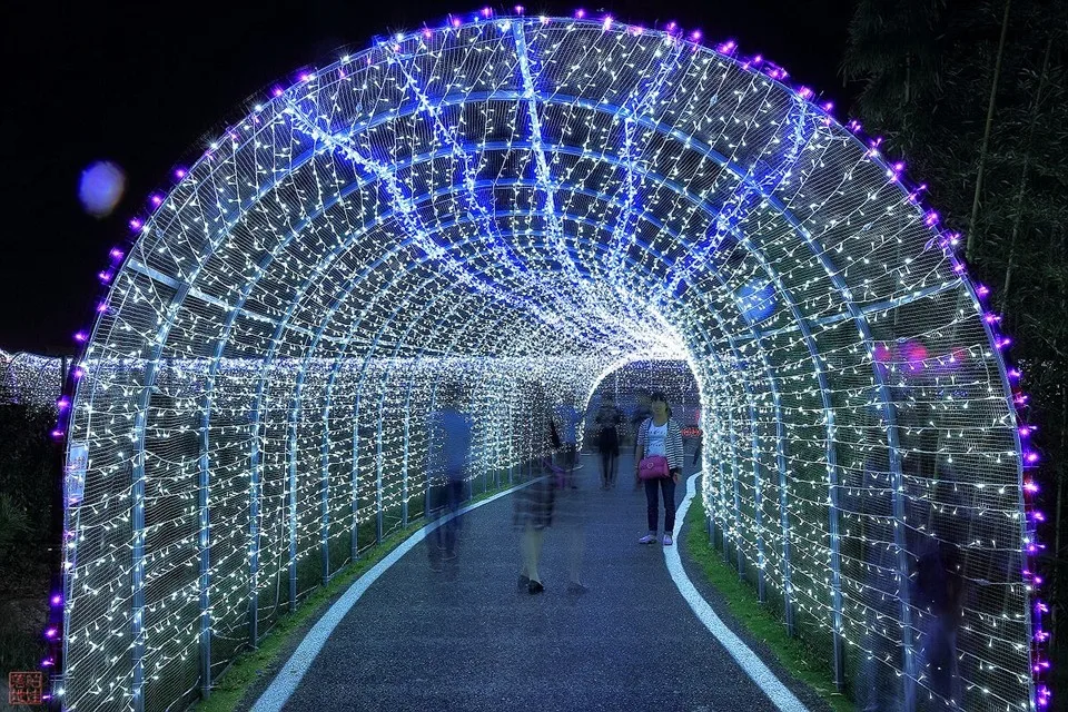 Lighting Strings wedding christmas lights led strings 10m AC220V 110V Led Strip Light Garden Garland (4)
