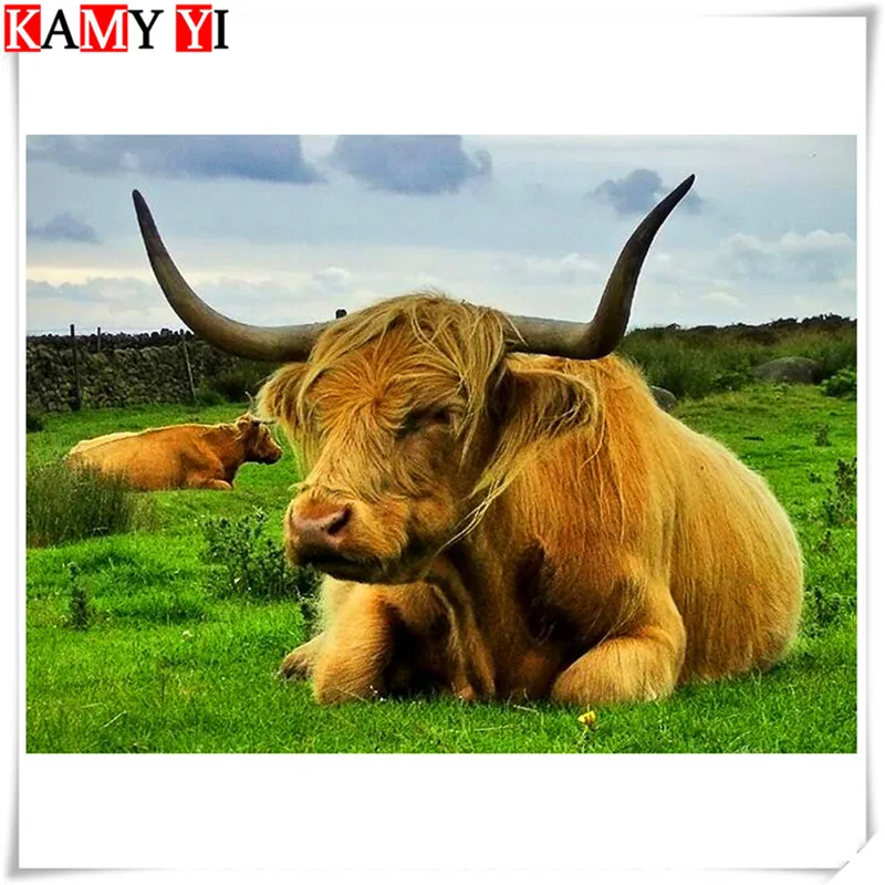 Full Square Round Diamond 5D DIY Diamond Art Animal Cow 3D Embroidery Yak Cross stitch 3D image Mosaic Rhinestone Home Dec