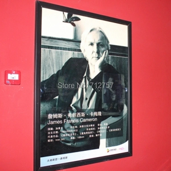 LED Movie Poster Frame.jpg