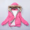 US Size S-3XL Upgraded Quality Jacket Women Spring Winter Coat Sweatshirt Large Raccoon Fur Hoodie Women Clothing #3002 ► Photo 3/6