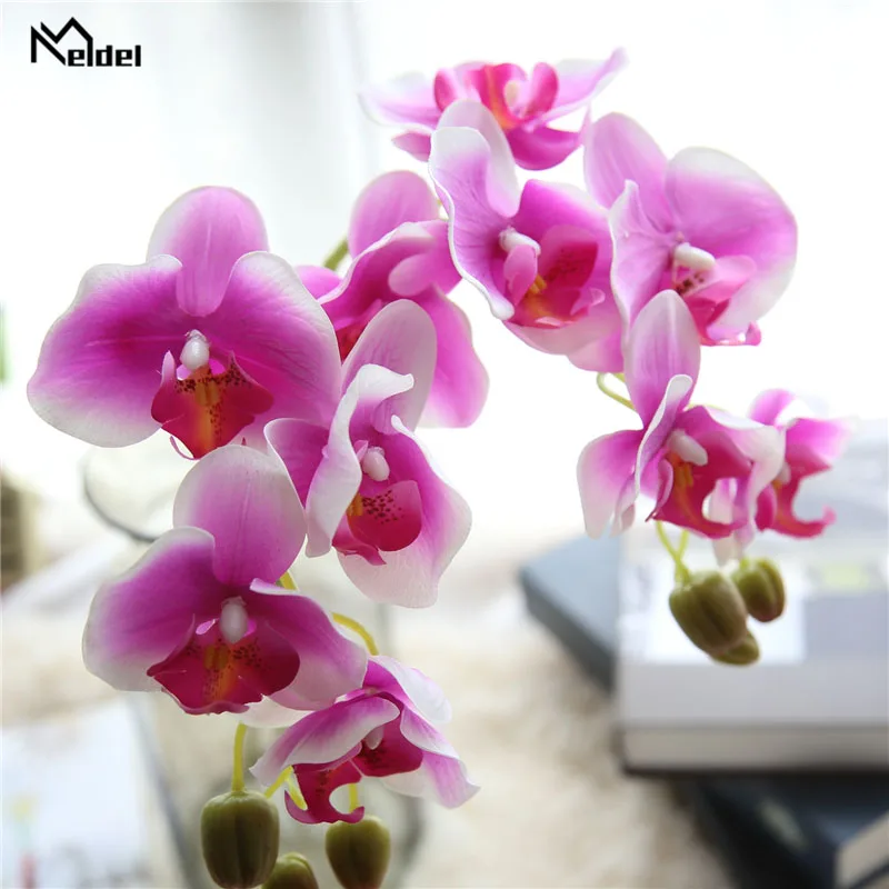 白紫色-light purple