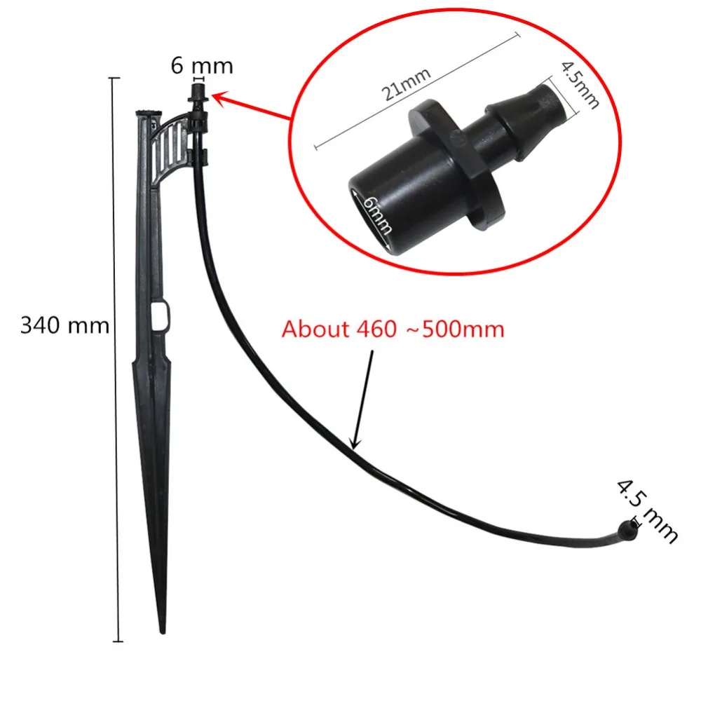 IMG_7079_