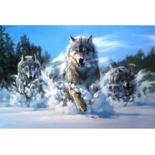 На заказ Алмазная картина eigen foto птица волк Снежный пейзаж 5d Мандала Алмазная картина Полная площадь/круглые фильмы для украшения дома