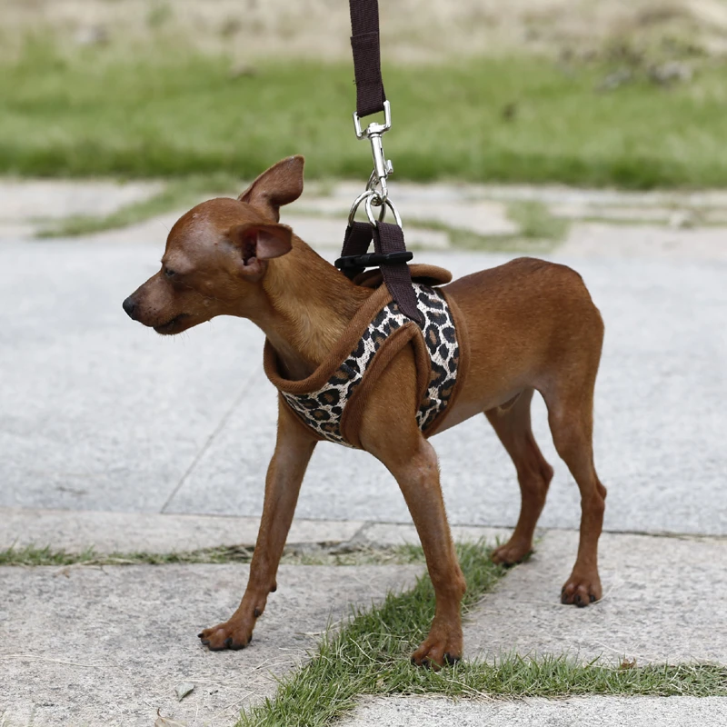 Winter-wear-padded-Vest-Harness-for-Dogs-Puppy-Cats-Pets-Small-Medium-Large-Dog-Harness-Pet