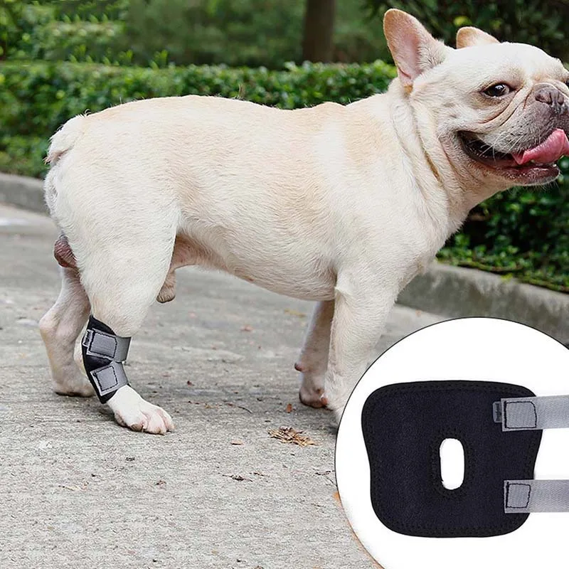 

JORMEL 1Pc Dog Recovery Bandage Pet Knee Pad Leg Protectors Prevention Dog Short Leg Anti-twist Fixed Protective Cover