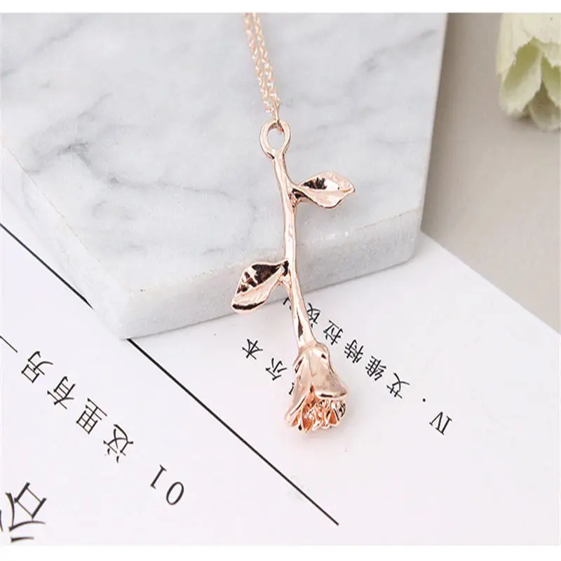 XL0009A (5)