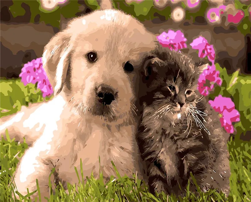 Us 83 50 Offpiękny Pies I Kot Zwierząt Dla Dzieci Pokój Dzienny Wystrój Malowanie Obraz Olejny Obrazy Według Numerów Rysunek Według Numerów Farba