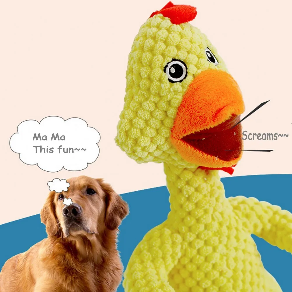 22_conew2