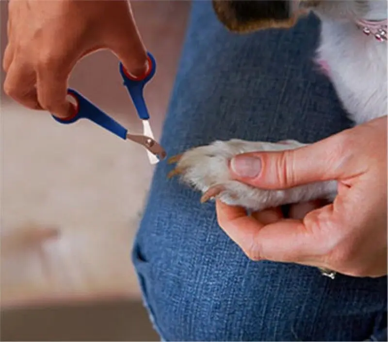 Новые популярные кусачки для когтей собак Ножницы носочный коготь Маникюрный Инструмент триммер резак инструмент для ухода
