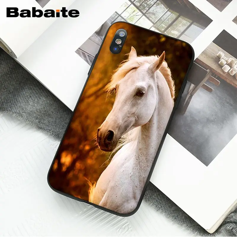 Horse Animal