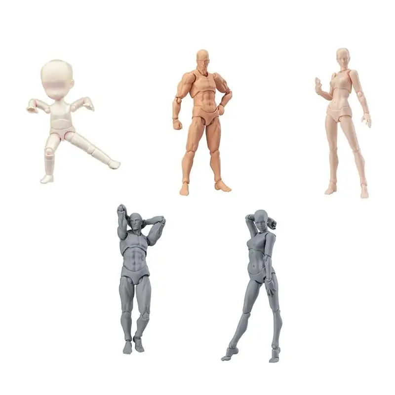 

Action Figures Anime Archetype He She Ferrite Figma Movable Body Kun Body Chan Pvc Action Figure Model Toys Doll For Collectible