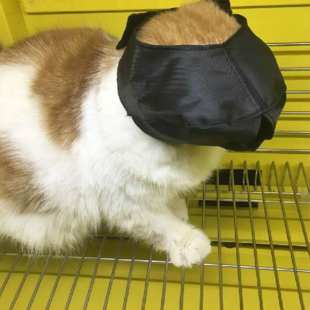 

AsyPets Creative Cat Adjustable Black Blindfold Muzzle Pet Supplies
