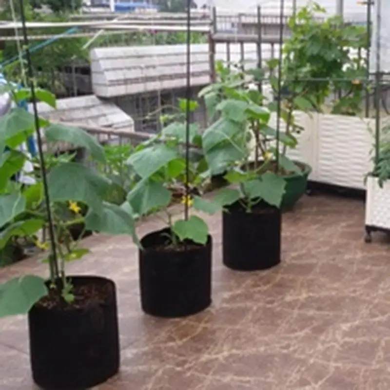 

5 Gallon Non-woven Fabrics Planting Green Bag For Garden Pot Culture Flower Black Grow Bag Green Seedlings