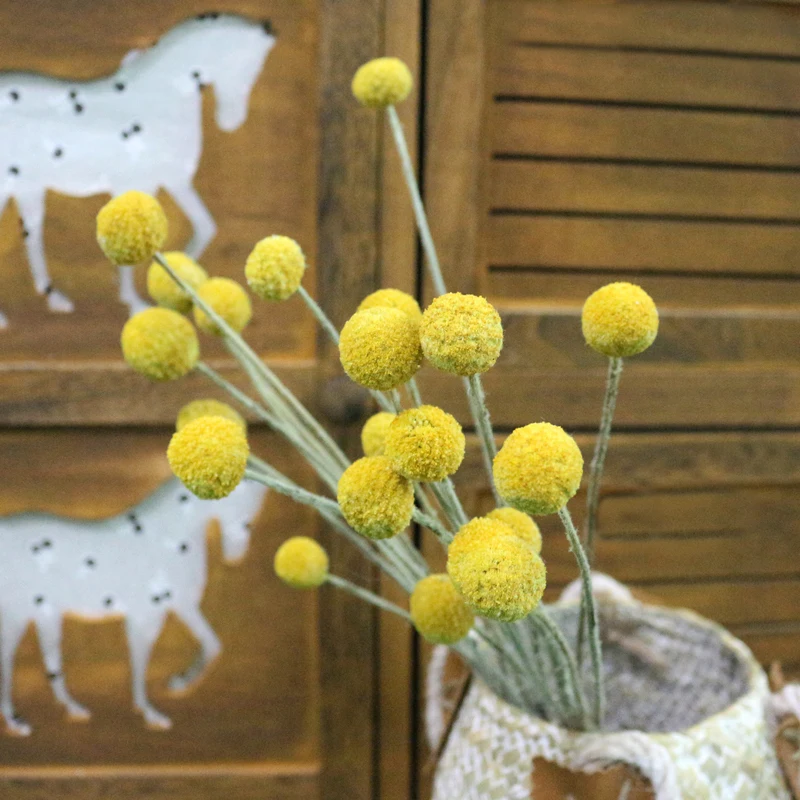 JAROWN Natural Dried Flowers Gold Ball Eternal Flores For Wedding DIY Bouquet Decorations Home Flower Arrangement Art (3)